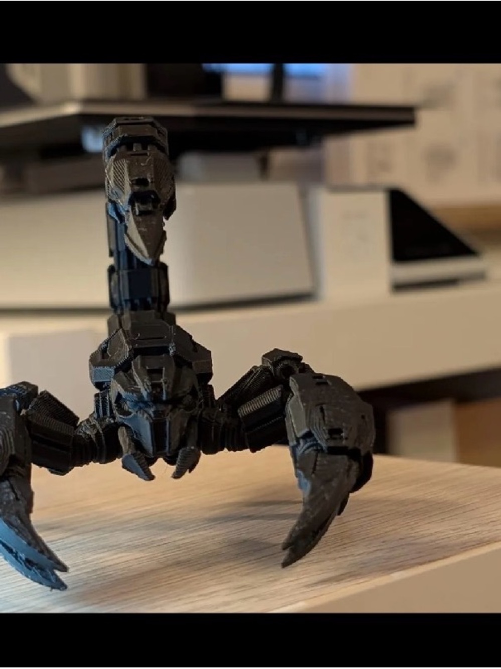 Scorpion - Picture 2 of 3